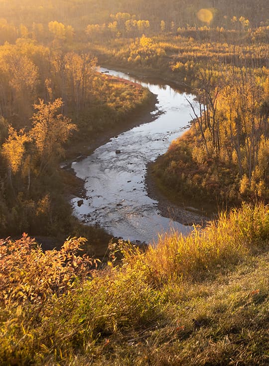 Boreal - Active Outdoor Region