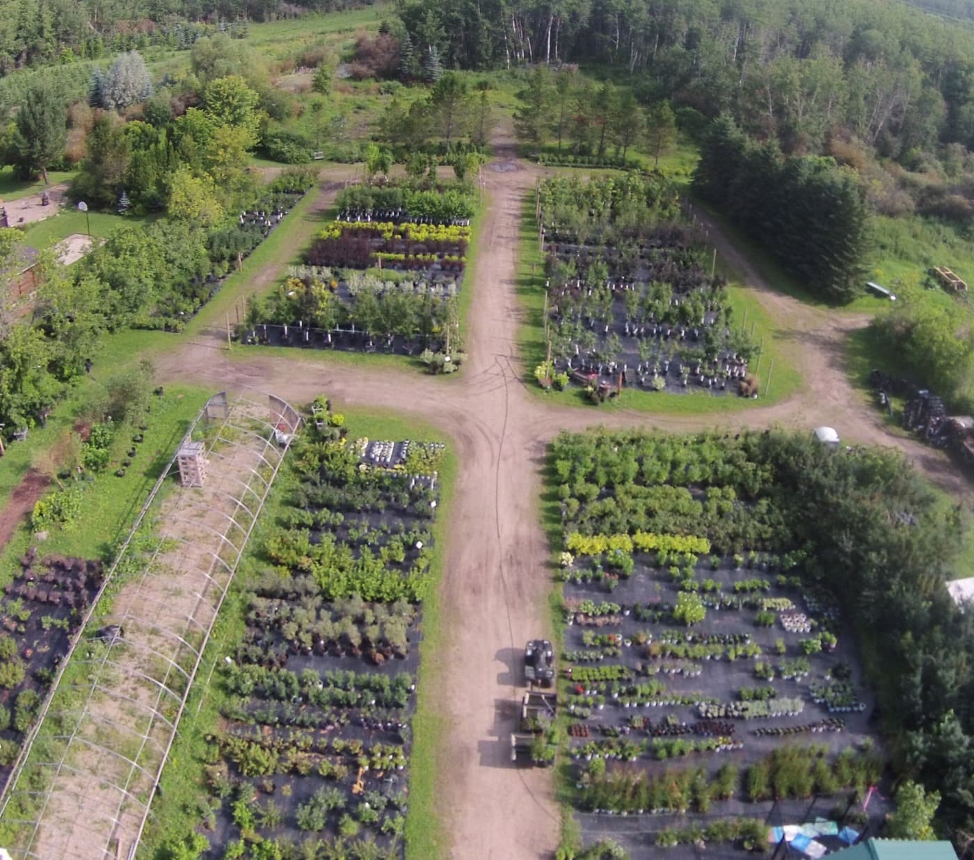 E-Tree The Tree Farm