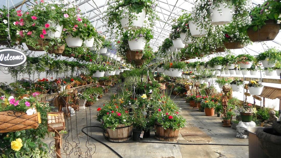 Moe's Gardens & Greenhouse